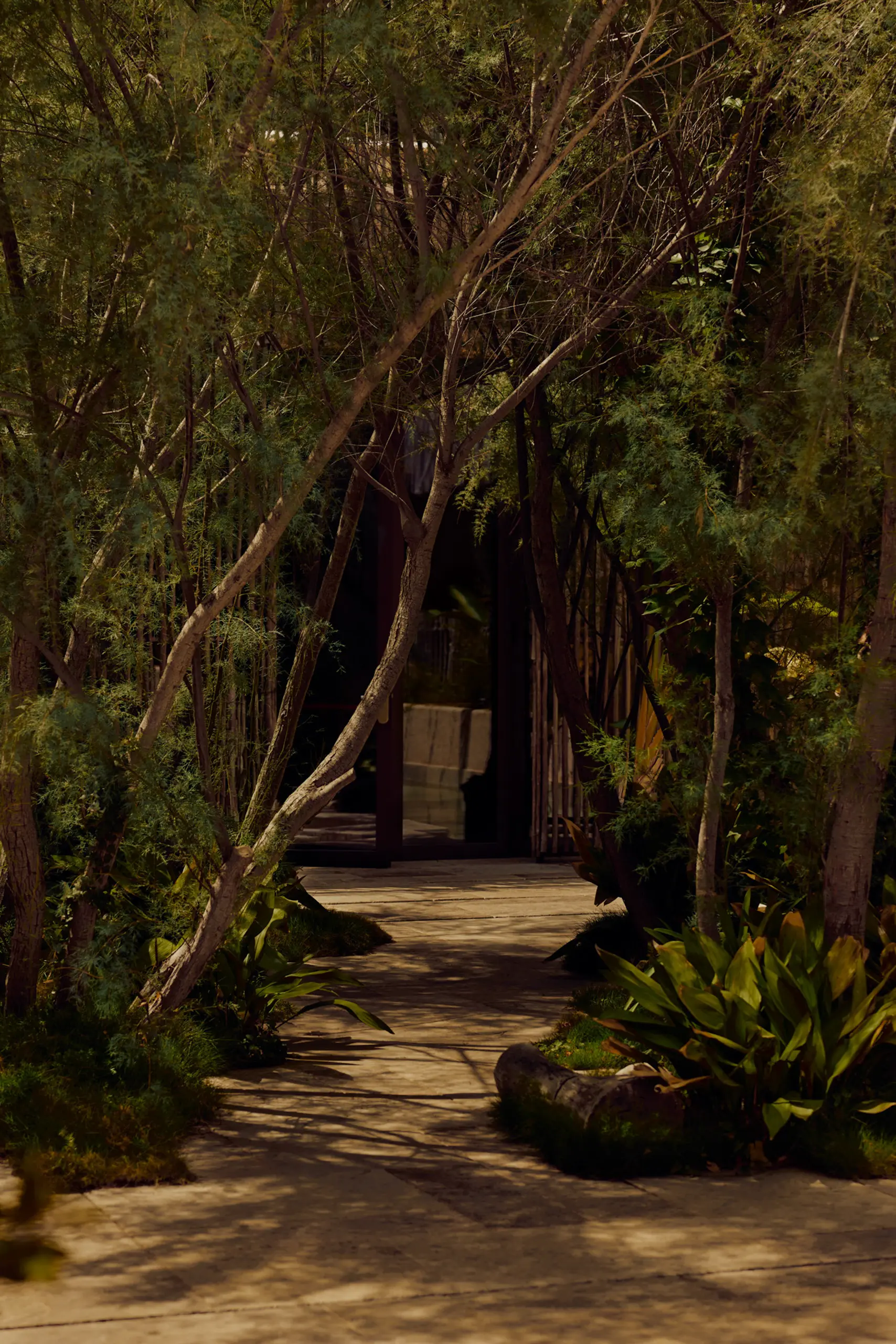 MARTINRUPIK_Ibiza_22