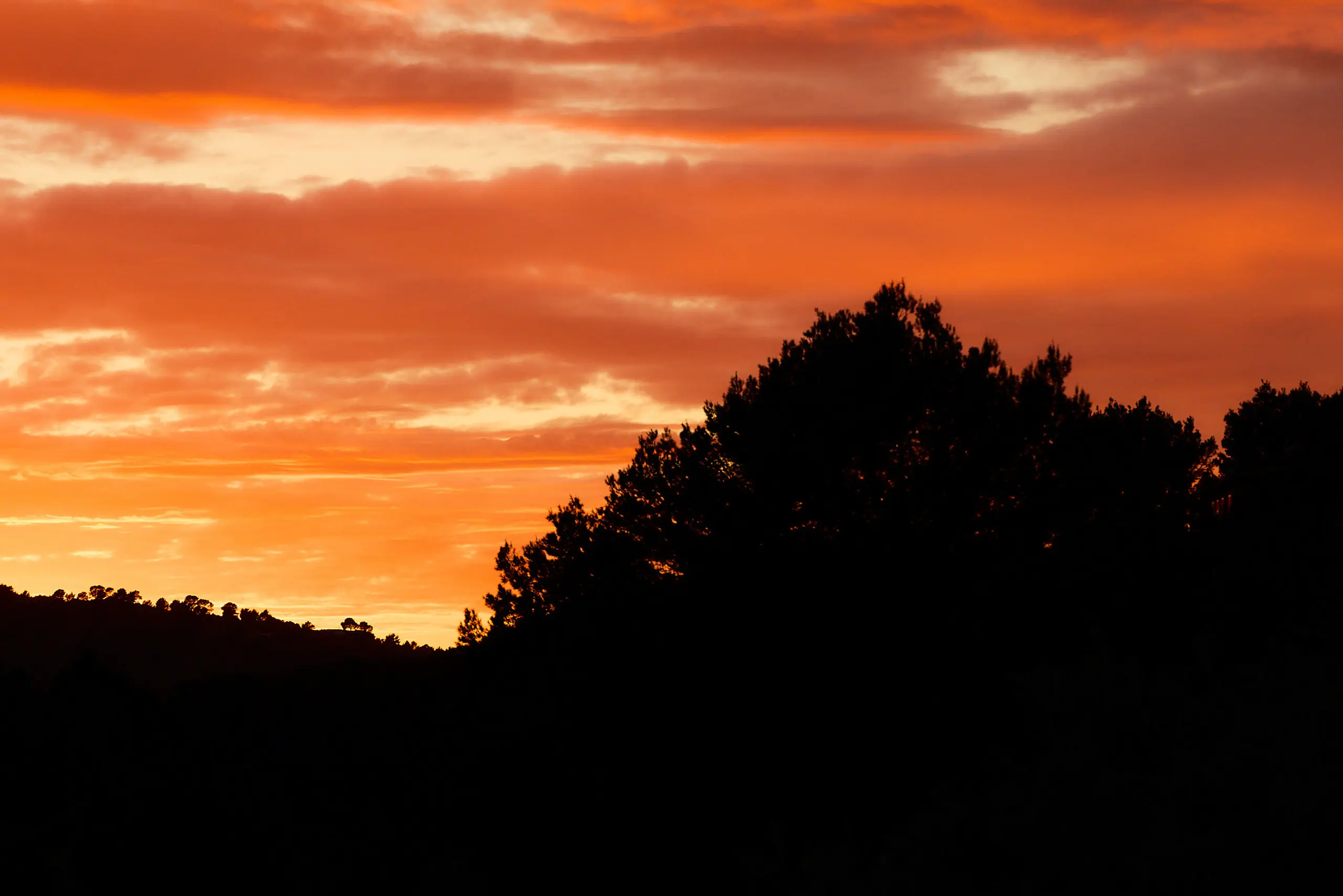 MARTINRUPIK_Mallorca_2