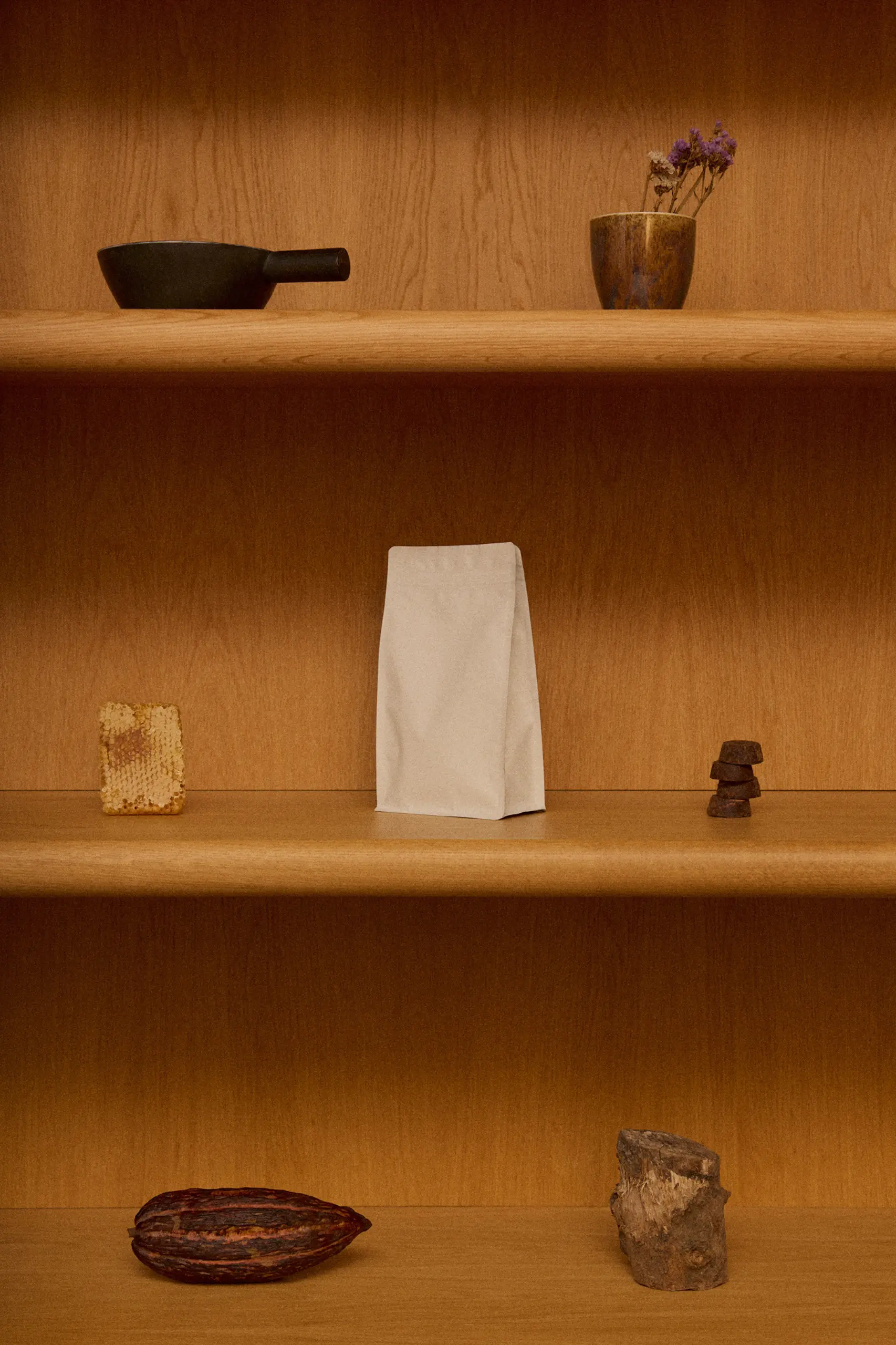 MARTINRUPIK_Nurturing-Cacao_13