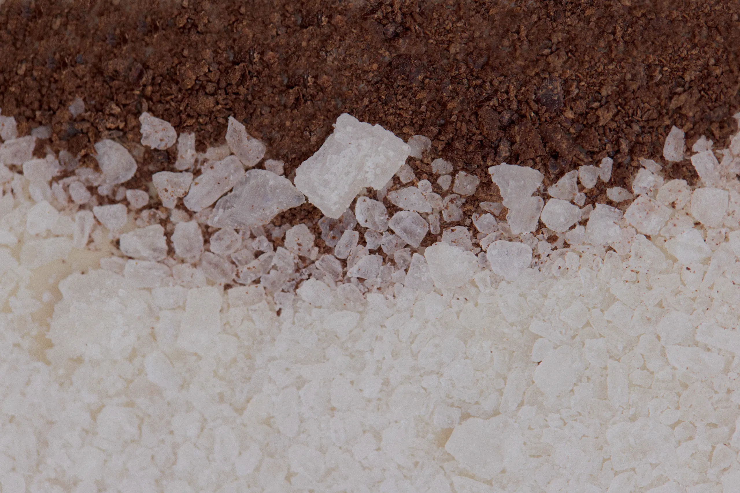 MARTINRUPIK_Nurturing-Cacao_14