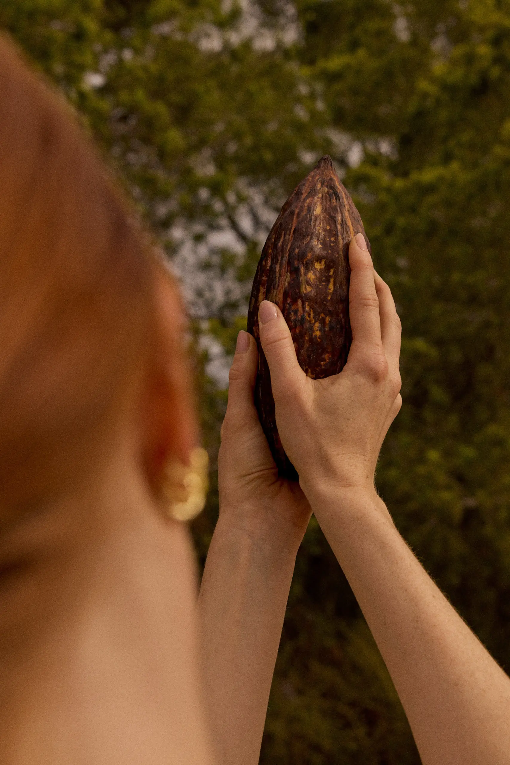 MARTINRUPIK_Nurturing-Cacao_33