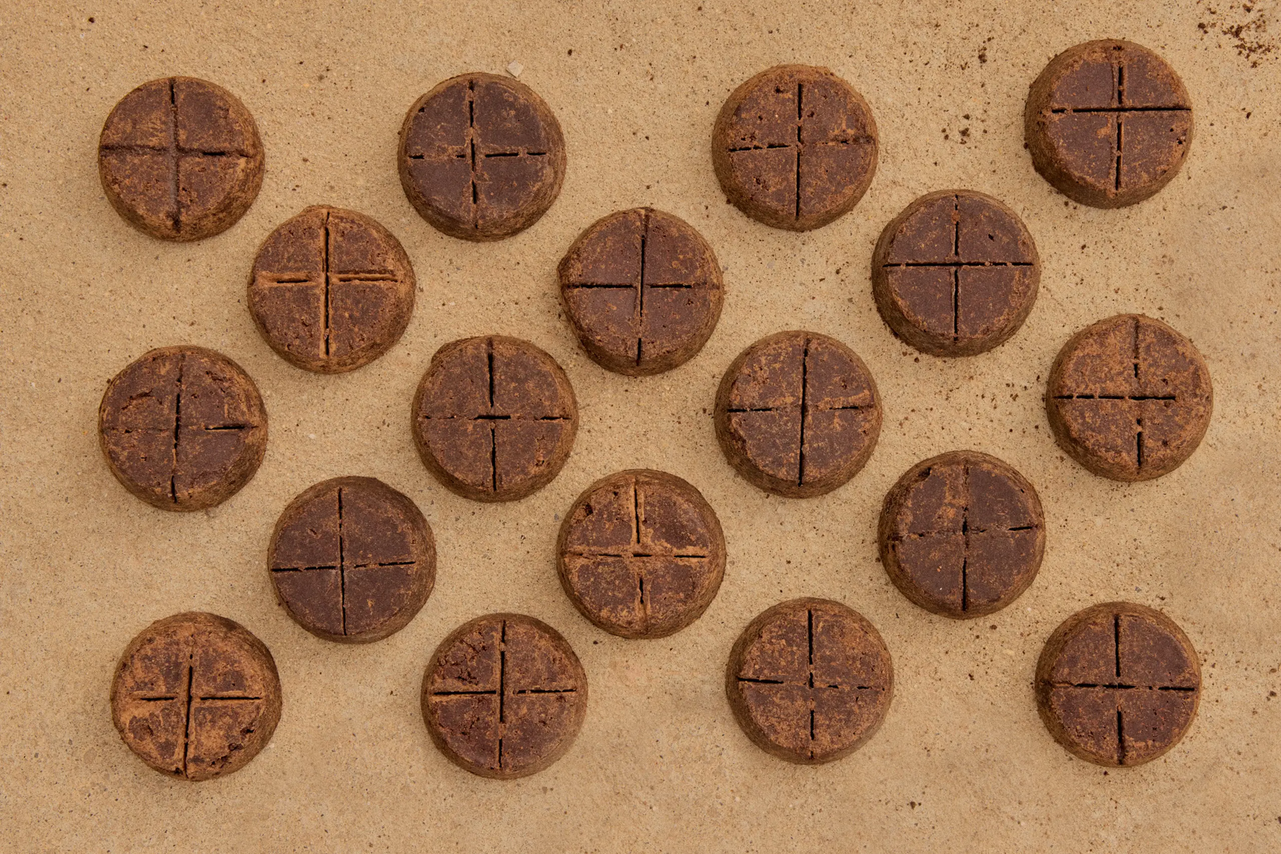 MARTINRUPIK_Nurturing-Cacao_34